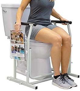 lot 1659 image: Vive Stand Alone Toilet Rail