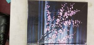 lot 1672 image: 3 Piece Canvas Art