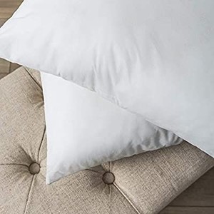 lot 1693 image: Phantoscope 2 Pack Throw Pillow Inserts