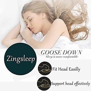 lot 1852 image: Zingsleep Goose Down Pillow