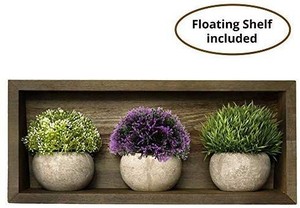 lot 1857 image: Indoor Artificial Plants & Floating Shelf