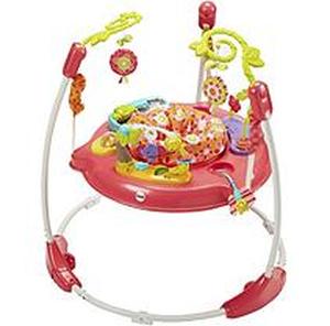 lot 4899 image: Fisher-Price Pink Petals Jumperoo with Lights & Sounds