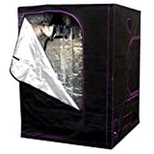 lot 4957 image: Apollo Horticulture 60��x60��x80�� Mylar Hydroponic Grow Tent for Indoor Plant Growing