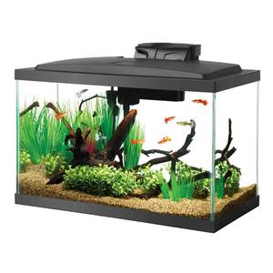 lot 6020 image: Aqueon 100527256 Fish Tank Aquarium LED Kit, 10 Gallon
