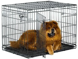 lot 6024 image: New World 36 Double Door Folding Metal Dog Crate, Includes Leak-Proof Plastic Tray Dog Crate Measures 36L x 23W x 25H Inches, Fits Intermediate Dog Breeds