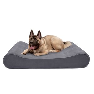lot 4829 image: FurHaven Pet Dog Bed Memory Foam Microvelvet Luxe Lounger Pet Bed for Dogs & Cats, Gray, Jumbo Plus