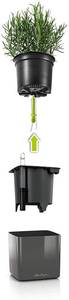 lot 8082 image: Lechuza 13524 Green Wall Home KIT Self-Watering Garden Planter for Indoor and Outdoor Use, Charcoal