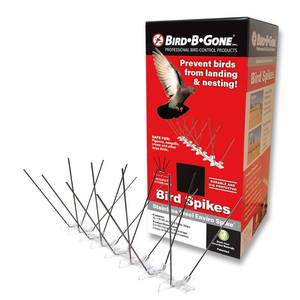 lot 8935 image: Bird B Gone 10 ft. x 5 in. Stainless Steel Bird Spike