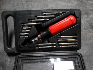 lot 2889 image: Ratcheting Screwdriver With Bits and Carrying case