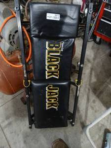 lot 3410 image: Black Jack creeper.