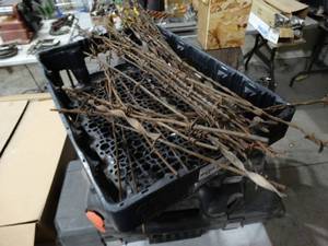 lot 3560 image: Barbwire collection