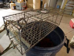 lot 1247 image: Small animal live trap