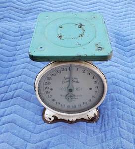 lot 5006 image: Vintage American Family Scale Tested