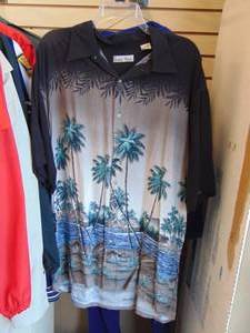 lot 4214 image: Hollis River Shirt - XL