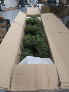 lot 2018 image: 5 double spiral boxwood, set of 2