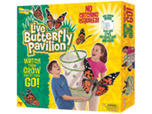 lot 49899 image: Butterfly Pavilion