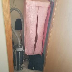 lot 1894 image: Electrolux Canister Vacuum and all in closet