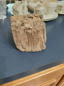 lot 1807 image: Petrified Wood