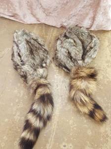 lot 1144 image: 2 coonskin cap