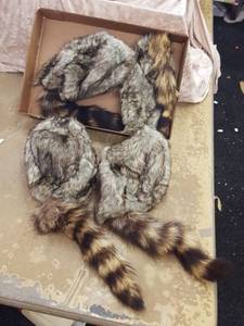lot 1145 image: 4 coonskin caps