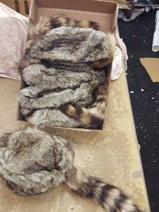 lot 1146 image: 6 coonskin caps