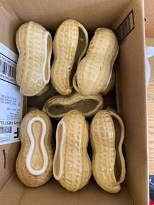 lot 1611 image: 14 pcs porcelain peanut decor