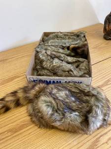 lot 1635 image: 6 coon hats