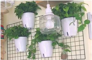 lot 371 image: Lot of 5 Hanging Flower Pots