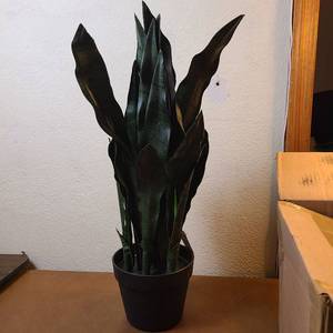 lot 398 image: Artificial Snake Plant