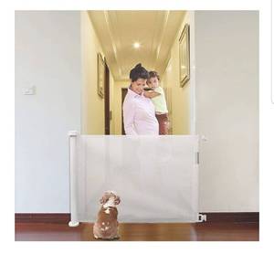 lot 421 image: Safety Gate