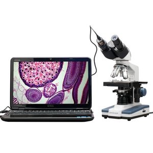 lot 51379 image: AmScope B120C-E1 Siedentopf Binocular Compound Microscope, 40X-2500X Magnification, LED Illumination, Abbe Condenser, Two-Layer Mechanical Stage, 1.3MP Camera and Software Windows XPVista7810