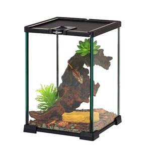 lot 51437 image: ReptiZoo Mini Reptile Glass Terrarium Tank Full View Visually Appealing Mini Reptile Glass Habitat