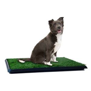 lot 73243 image: PETMAKERThe Indoor Restroom Puppy Potty Trainer for Pets, Medium, Green (80-ST2025)