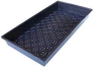 lot 73244 image: National Garden Wholesale Super Sprouter Quad Thick Propagation Tray with Holes, 10 Inch x 20-Inch