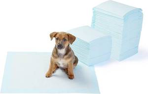 lot 73303 image: AmazonBasics Dog and Puppy Pee, Potty Training Pads, Regular (22 x 22 Inches) - Pack of 150