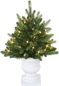 lot 5366 image: Martha Stewart Tabletop Tree in Urn