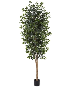 lot 5443 image: Nearly Natural 8 Ficus Tree