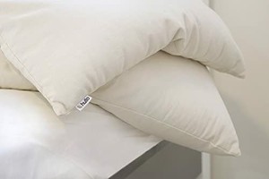 lot 6032 image: Hullo Buckwheat Pillow (Queen Size)