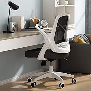 lot 8076 image: office chair