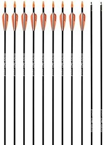 lot 9008 image: PANDARUS Archery 28 Fiberglass Archery Target Practice Arrows