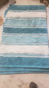 lot 6161 image: House Rug 32x20 - BlueWhite