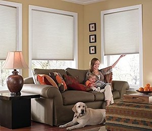 lot 1025 image: cordless shades