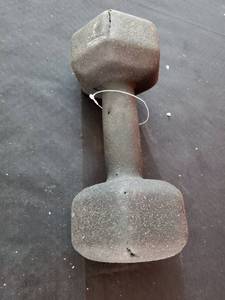 lot 1224 image: Day 1 Fitness 15 Lb Weight