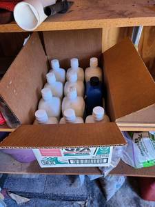 lot 4005 image: Castrol GTX motor oil