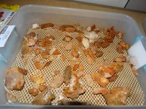 lot 3009 image: Lot of Various Stones and Crystals