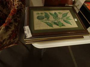 lot 2934 image: SpiceHerb Wall Art