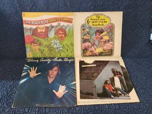 lot 9015 image: The Beach Boys,Carpenters,Shawn Cassidy and England DanJohn Ford Coley Albums