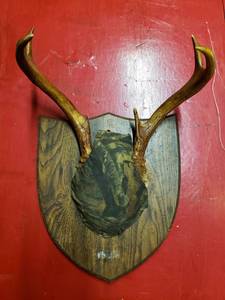 lot 9059 image: Deer Mount