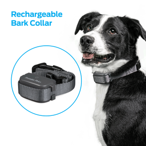 lot 9022 image: Premier Pet�� Rechargeable Bark Collar
