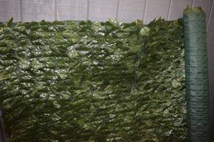 lot 34 image: Artificial VineGreenery Wall 5 x 16